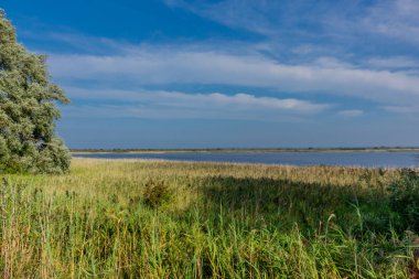 Baltık Denizi adası Hiddensee yaz gezisi - Hiddensee/Germany