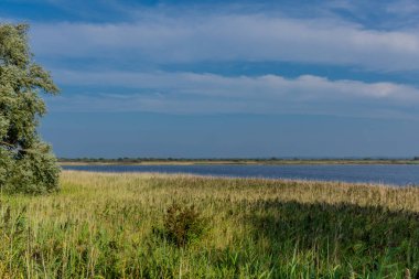 Baltık Denizi adası Hiddensee yaz gezisi - Hiddensee/Germany