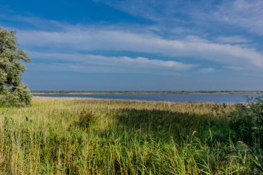 Baltık Denizi adası Hiddensee yaz gezisi - Hiddensee/Germany