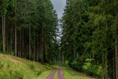Renkli Thüringen Ormanı'nda sonbahar günü - Suhl/Germany