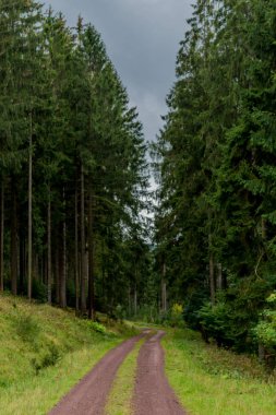 Renkli Thüringen Ormanı'nda sonbahar günü - Suhl/Germany