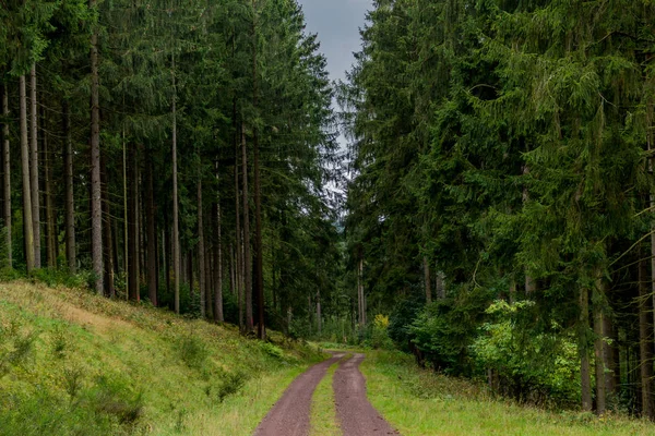 Höstdagen Den Färgglada Thüringer Wald Suhl Tyskland — Stockfoto