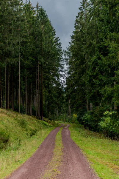 Höstdagen Den Färgglada Thüringer Wald Suhl Tyskland — Stockfoto