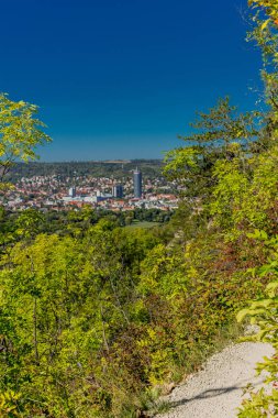 Doğal Saale Vadisi'nde yaz sonu - Jena/Germany
