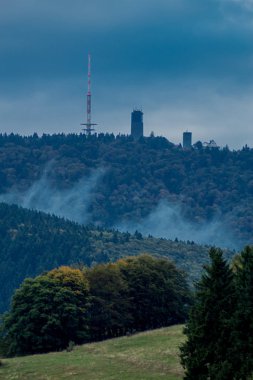 Güzel Thüringen Ormanı'nda Sonbahar Günü - Thüringen Ormanı / Almanya