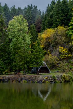 Güzel Thüringen Ormanı'nda sonbahar günü - Bergsee Ebertswiese/Almanya