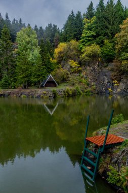 Güzel Thüringen Ormanı'nda sonbahar günü - Bergsee Ebertswiese/Almanya