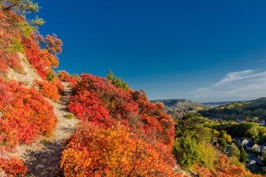 Jena / Thüringen / Almanya 'da Saale-Horizontale boyunca sonbahar yürüyüşü
