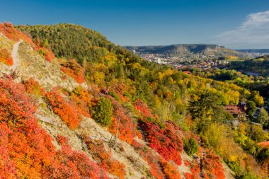 Jena / Thüringen / Almanya 'da Saale-Horizontale boyunca sonbahar yürüyüşü