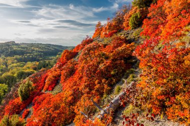 Jena / Thüringen / Almanya 'da Saale-Horizontale boyunca sonbahar yürüyüşü