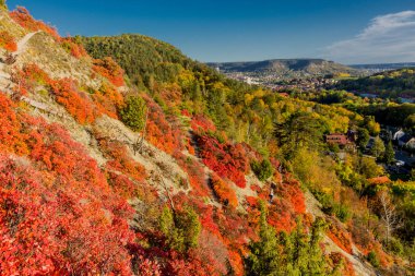 Jena / Thüringen / Almanya 'da Saale-Horizontale boyunca sonbahar yürüyüşü