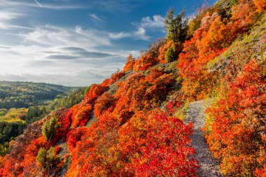 Jena / Thüringen / Almanya 'da Saale-Horizontale boyunca sonbahar yürüyüşü