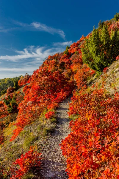 Herbstspaziergang Entlang Des Saale Horizontales Schönen Jena Jena Thüringen Deutschland — Stockfoto