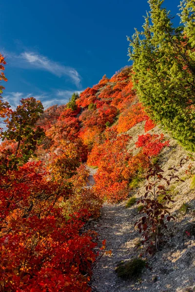 Herbstspaziergang Entlang Des Saale Horizontales Schönen Jena Jena Thüringen Deutschland — Stockfoto