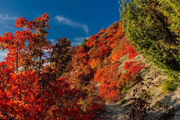 Herbstspaziergang Entlang Des Saale Horizontales Schönen Jena Jena Thüringen Deutschland — Stockfoto