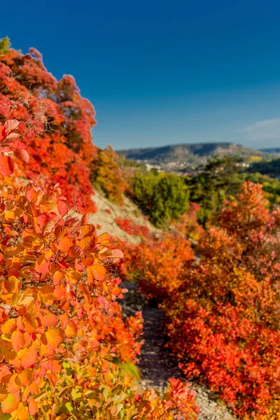 Herbstspaziergang Entlang Des Saale Horizontales Schönen Jena Jena Thüringen Deutschland — Stockfoto