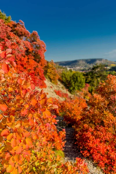 Herbstspaziergang Entlang Des Saale Horizontales Schönen Jena Jena Thüringen Deutschland — Stockfoto