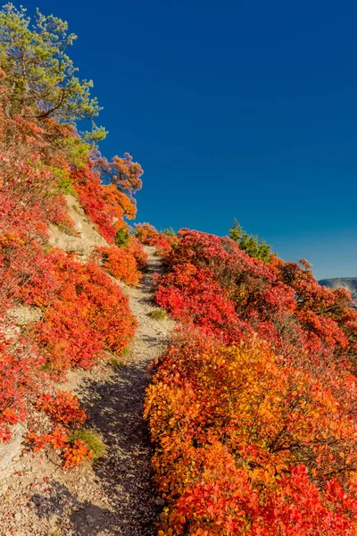 Herbstspaziergang Entlang Des Saale Horizontales Schönen Jena Jena Thüringen Deutschland — Stockfoto