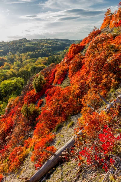 Herbstspaziergang Entlang Des Saale Horizontales Schönen Jena Jena Thüringen Deutschland — Stockfoto