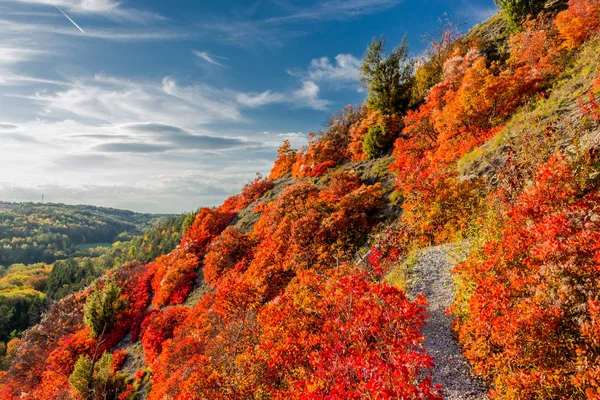 Herbstspaziergang Entlang Des Saale Horizontales Schönen Jena Jena Thüringen Deutschland — Stockfoto