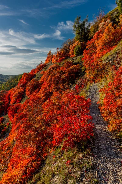 Herbstspaziergang Entlang Des Saale Horizontales Schönen Jena Jena Thüringen Deutschland — Stockfoto