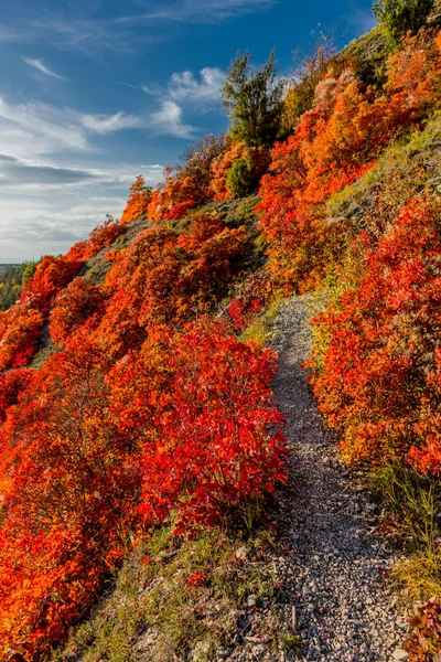 Herbstspaziergang Entlang Des Saale Horizontales Schönen Jena Jena Thüringen Deutschland — Stockfoto