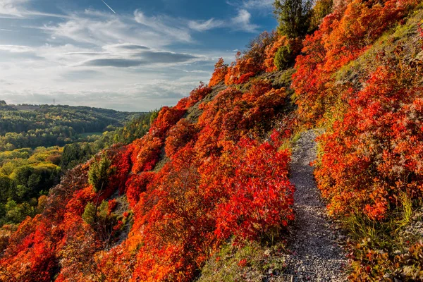 Herbstspaziergang Entlang Des Saale Horizontales Schönen Jena Jena Thüringen Deutschland — Stockfoto