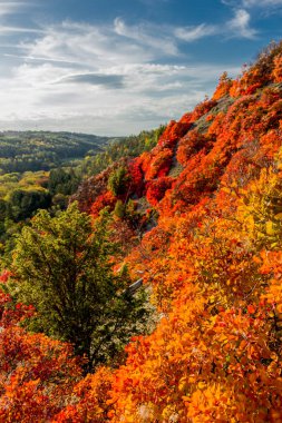 Jena / Thüringen / Almanya 'da Saale-Horizontale boyunca sonbahar yürüyüşü