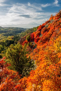 Jena / Thüringen / Almanya 'da Saale-Horizontale boyunca sonbahar yürüyüşü