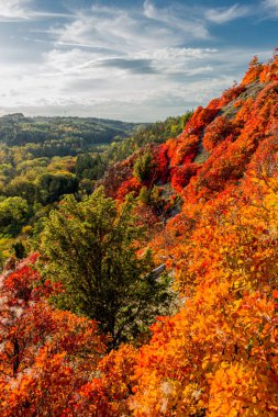 Jena / Thüringen / Almanya 'da Saale-Horizontale boyunca sonbahar yürüyüşü