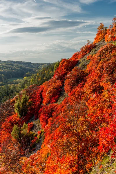 Herbstspaziergang Entlang Des Saale Horizontales Schönen Jena Jena Thüringen Deutschland — Stockfoto