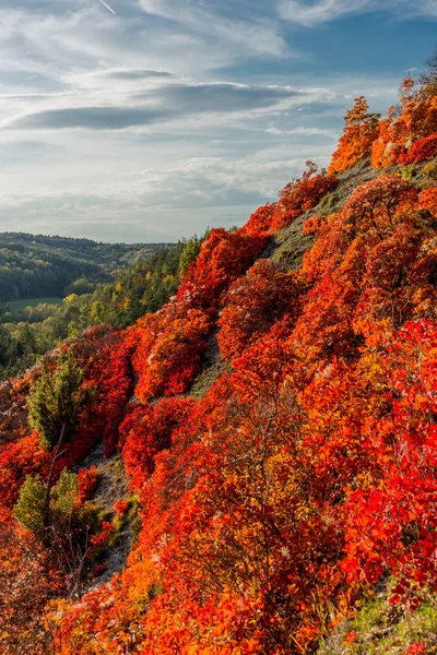 Herbstspaziergang Entlang Des Saale Horizontales Schönen Jena Jena Thüringen Deutschland — Stockfoto