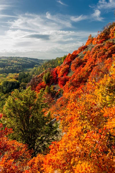 Herbstspaziergang Entlang Des Saale Horizontales Schönen Jena Jena Thüringen Deutschland — Stockfoto