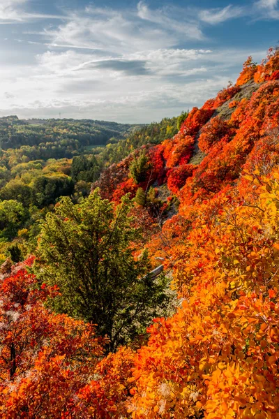 Herbstspaziergang Entlang Des Saale Horizontales Schönen Jena Jena Thüringen Deutschland — Stockfoto