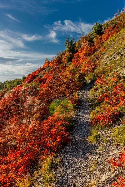 Herbstspaziergang Entlang Des Saale Horizontales Schönen Jena Jena Thüringen Deutschland — Stockfoto