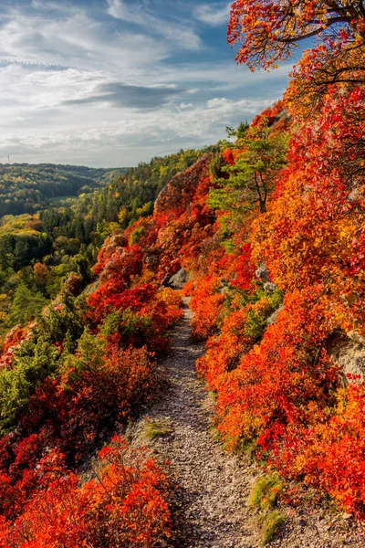 Herbstspaziergang Entlang Des Saale Horizontales Schönen Jena Jena Thüringen Deutschland — Stockfoto