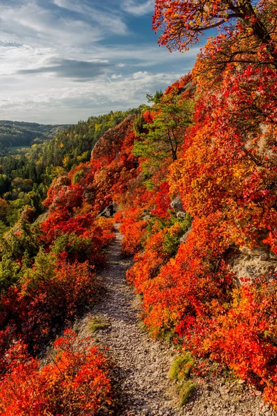 Herbstspaziergang Entlang Des Saale Horizontales Schönen Jena Jena Thüringen Deutschland — Stockfoto