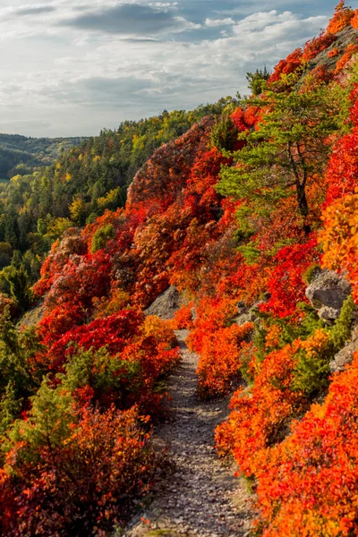 Herbstspaziergang Entlang Des Saale Horizontales Schönen Jena Jena Thüringen Deutschland — Stockfoto