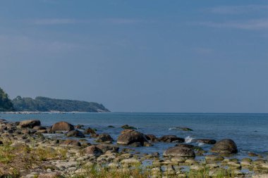 Baltık Denizi 'ndeki güzel Rgen adasında keşif gezisi - Arkona Burnu / Almanya