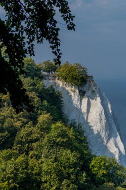 Baltık Denizi 'ndeki güzel Rgen adasındaki tebeşir kayalıkları boyunca keşif turu - Arkona Burnu / Almanya