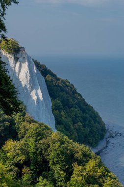 Baltık Denizi 'ndeki güzel Rgen adasındaki tebeşir kayalıkları boyunca keşif turu - Arkona Burnu / Almanya