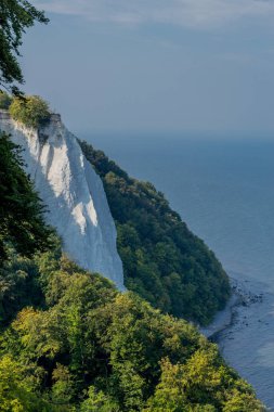 Baltık Denizi 'ndeki güzel Rgen adasındaki tebeşir kayalıkları boyunca keşif turu - Arkona Burnu / Almanya
