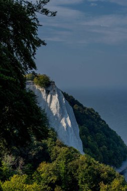 Baltık Denizi 'ndeki güzel Rgen adasındaki tebeşir kayalıkları boyunca keşif turu - Arkona Burnu / Almanya