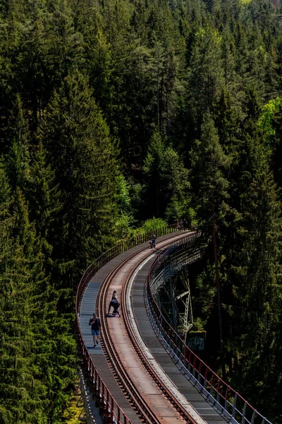 Vandra Runt Hohenwarte Dammen Vid Thüringen Nära Ziegenrck Hohenwarte Dammen — Stockfoto