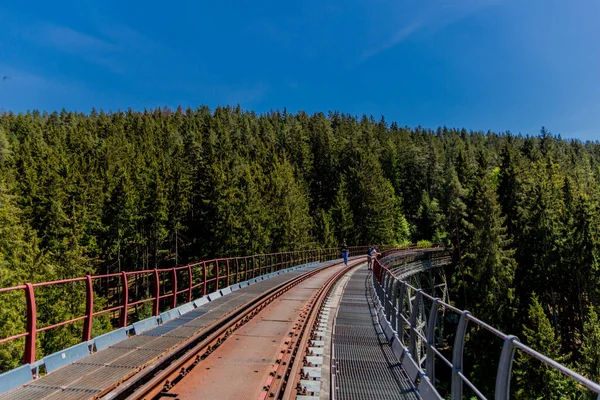 Wandeling Rond Hohenwarte Dam Aan Thüringen Zee Bij Ziegenrck Hohenwarte — Stockfoto