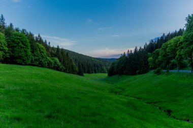 Thüringen Ormanı 'nda akşam fotoğrafı - Almanya