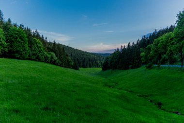 Thüringen Ormanı 'nda akşam fotoğrafı - Almanya
