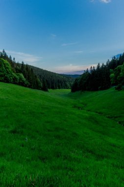 Thüringen Ormanı 'nda akşam fotoğrafı - Almanya