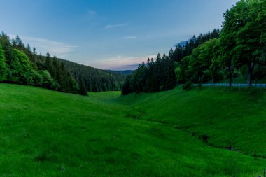 Thüringen Ormanı 'nda akşam fotoğrafı - Almanya