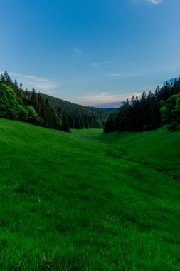 Thüringen Ormanı 'nda akşam fotoğrafı - Almanya